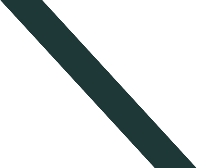 Animated Shape